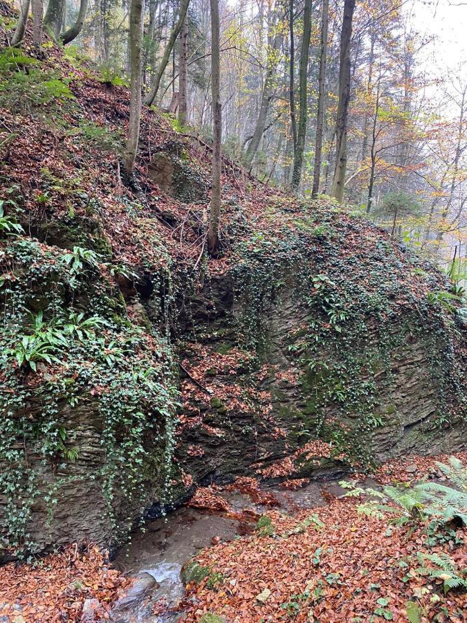 Gaestehaus Schmid Sankt Johann im Saggautal エクステリア 写真