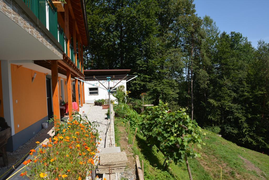 Gaestehaus Schmid Sankt Johann im Saggautal エクステリア 写真