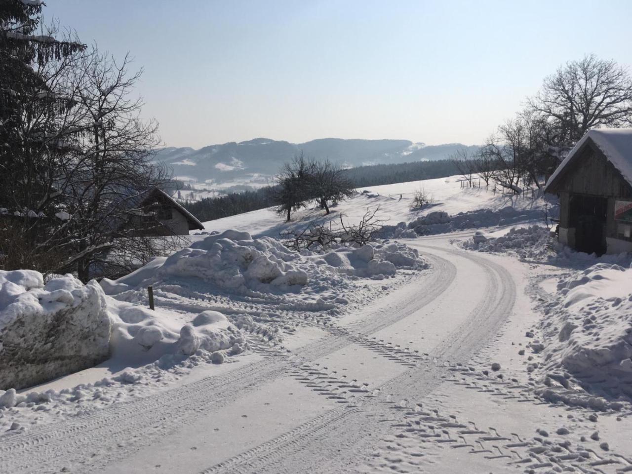 Gaestehaus Schmid Sankt Johann im Saggautal エクステリア 写真